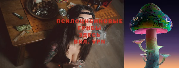 2c-b Алексеевка
