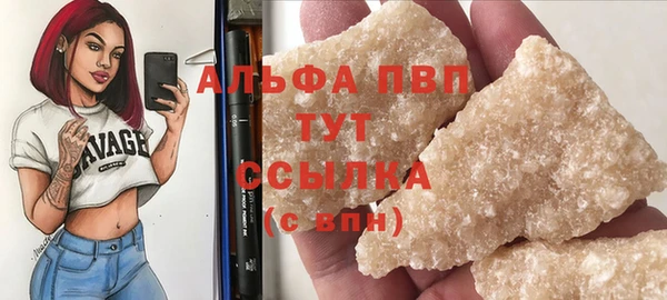 СК Волоколамск